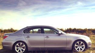 Beter sig silverfärgerna annorlunda i sommarvärmen?